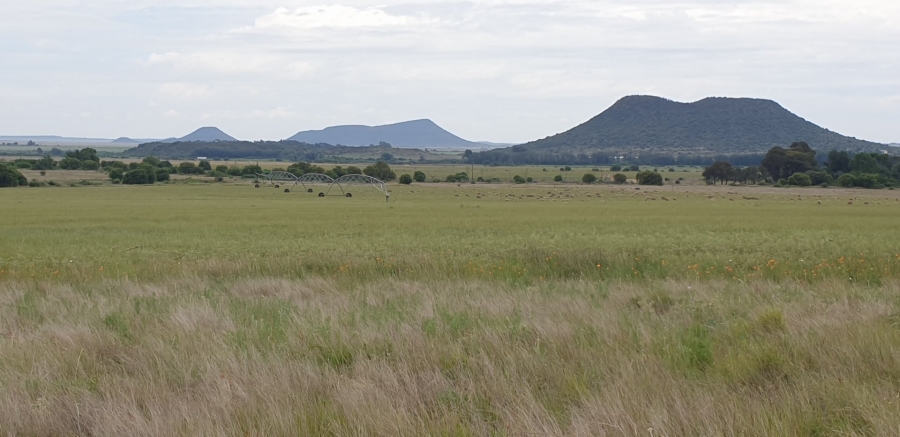 Commercial Property for Sale in Bloemfontein Rural Free State
